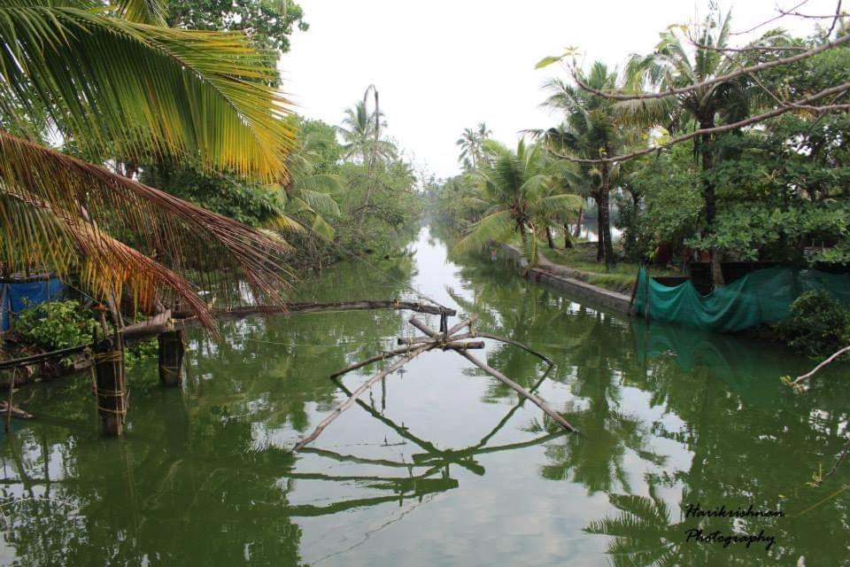 Marari Stella Vich Villa Homestay Turavur Ngoại thất bức ảnh