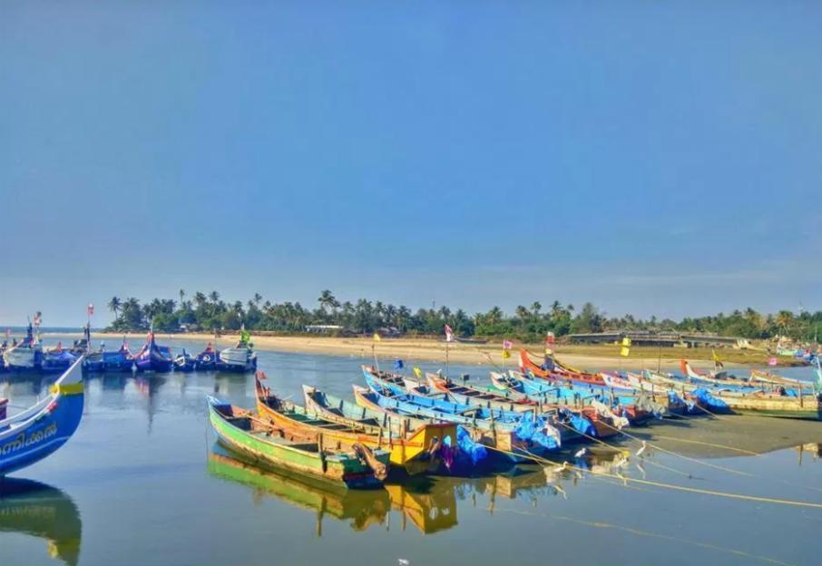 Marari Stella Vich Villa Homestay Turavur Ngoại thất bức ảnh